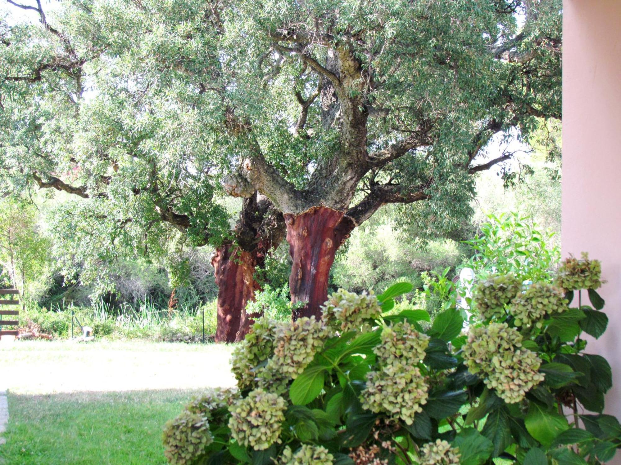 Li Suari Club Village San Teodoro  Bagian luar foto